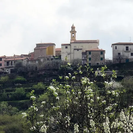Casa Mucca 120s *